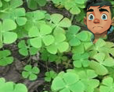 ସୁନୁସୁନିଆ
